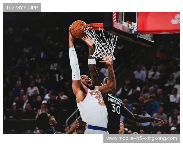 尼克斯篮板像抢劫